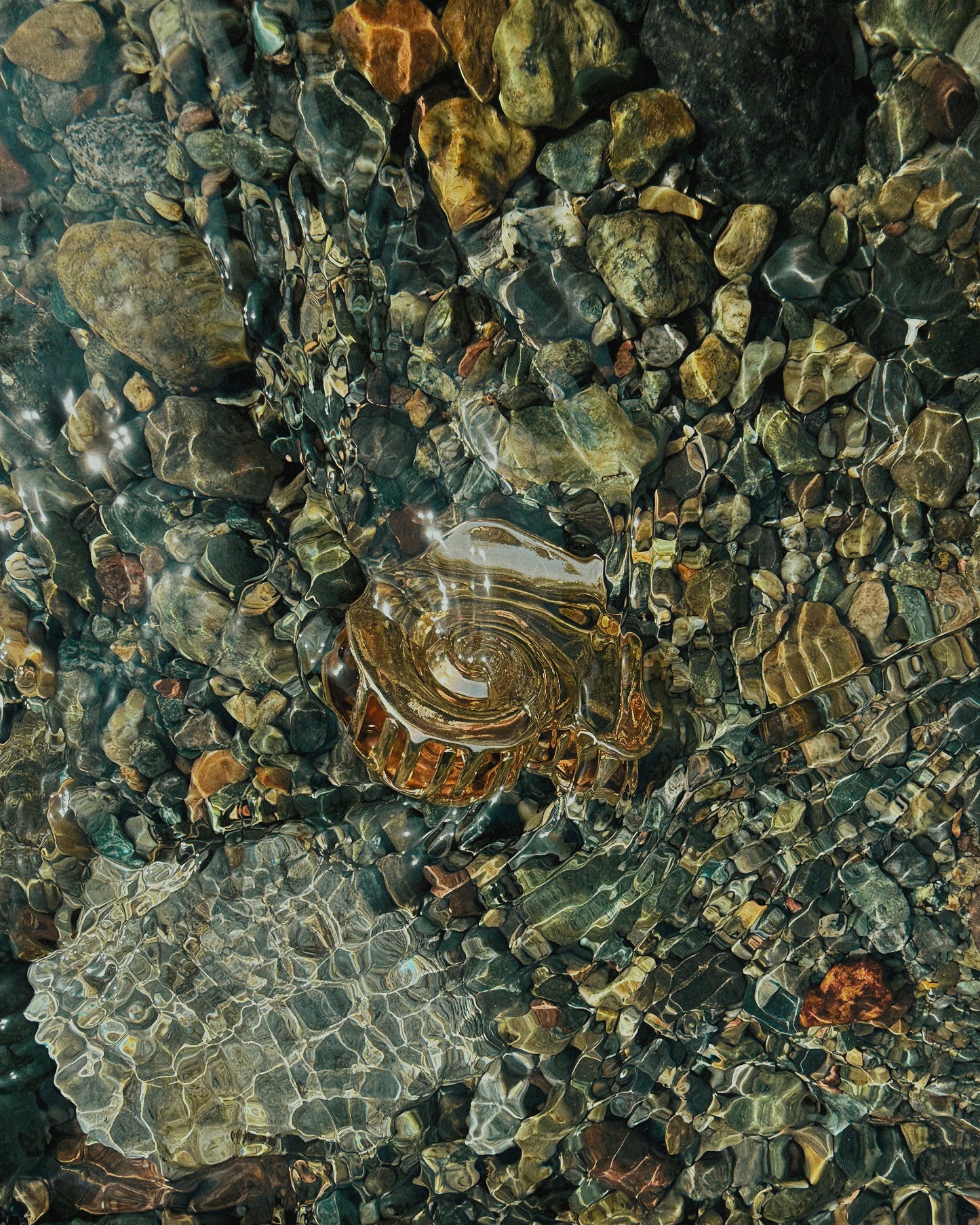 Shelly Claw Clip