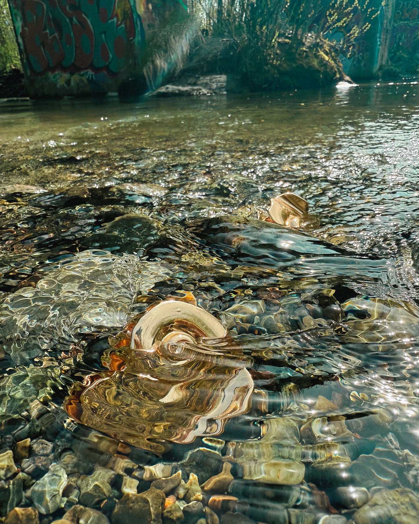 Shelly Claw Clip