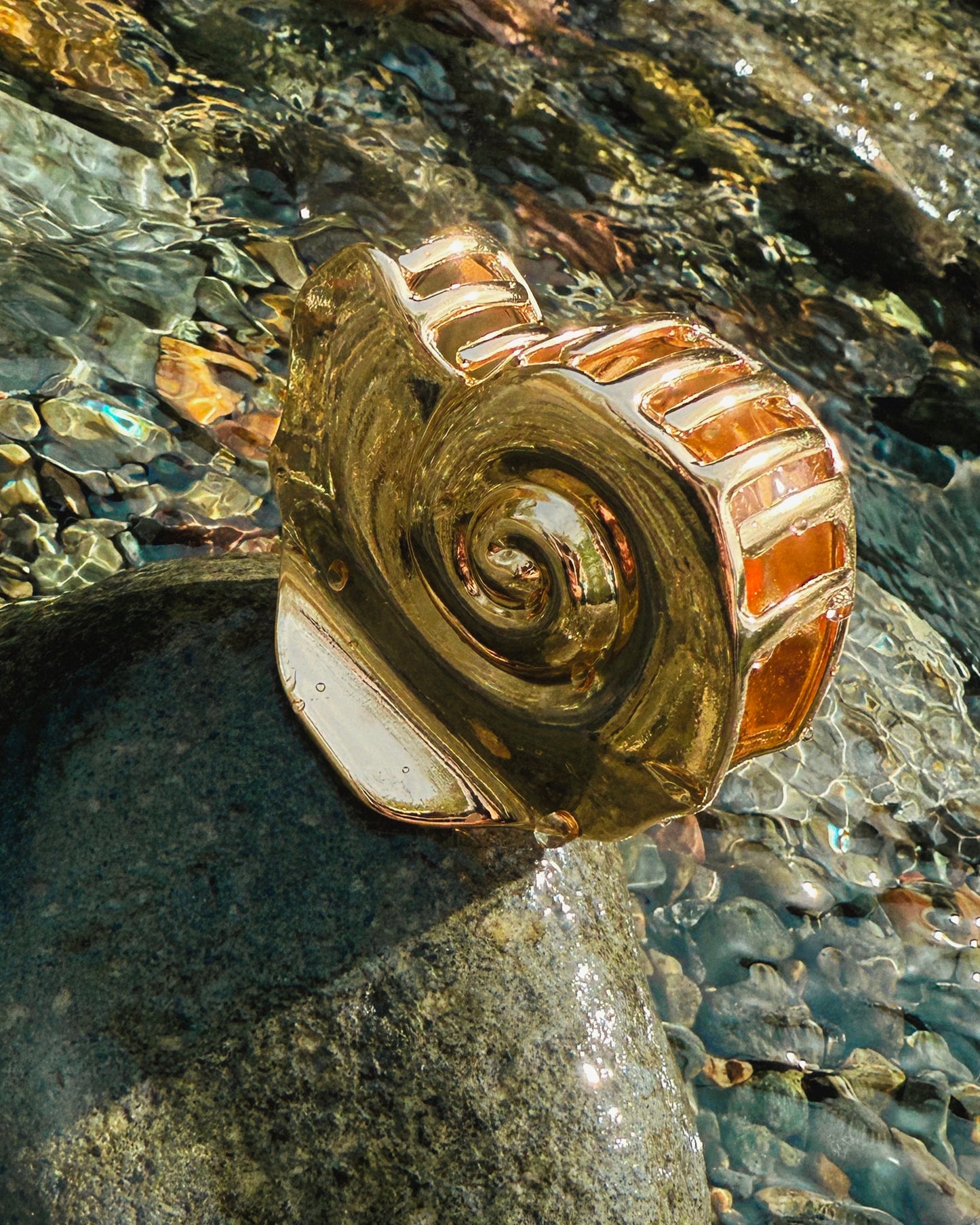 Shelly Claw Clip