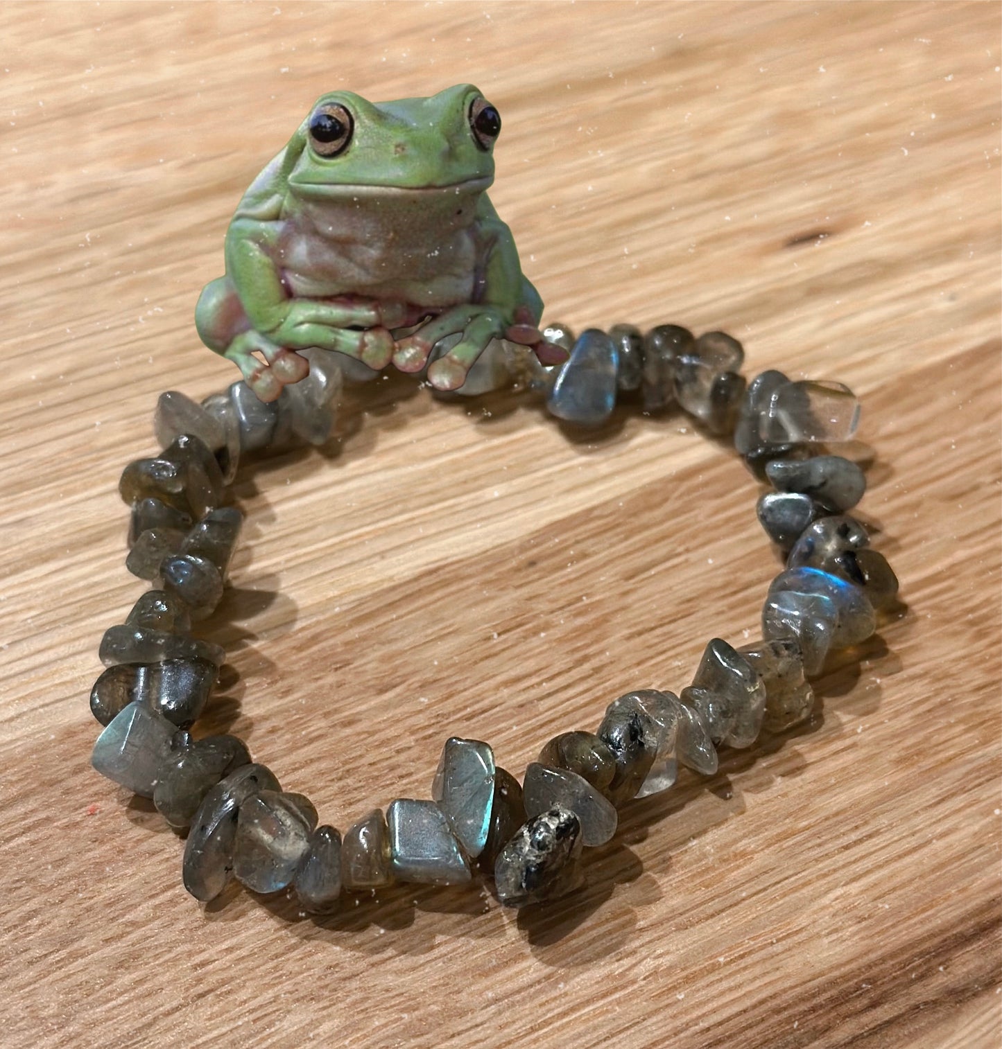 The Pond Pwincess- Bracelet